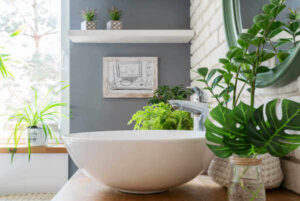 Bathroom plants