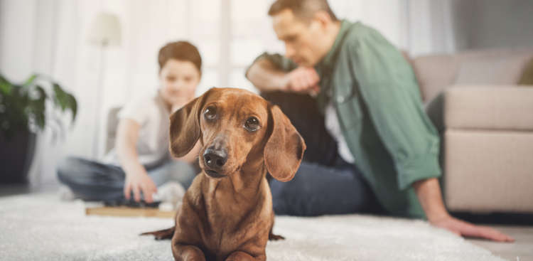 Britain’s homeowners are staying put longer – how do you compare to the average?